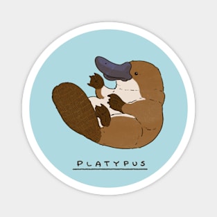 Adorable Platypus Sitting Magnet